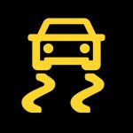 Electronic stability problem (ESP) warning light